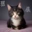 读者头像，用户昵称文字猎人